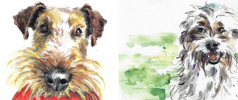 After Work: Tiere in Aquarell Basics