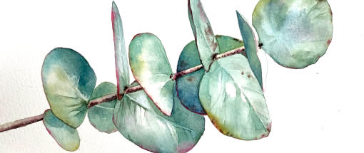 After Work: Sehnsucht nach Grün - Botanische Fundstücke in Aquarell